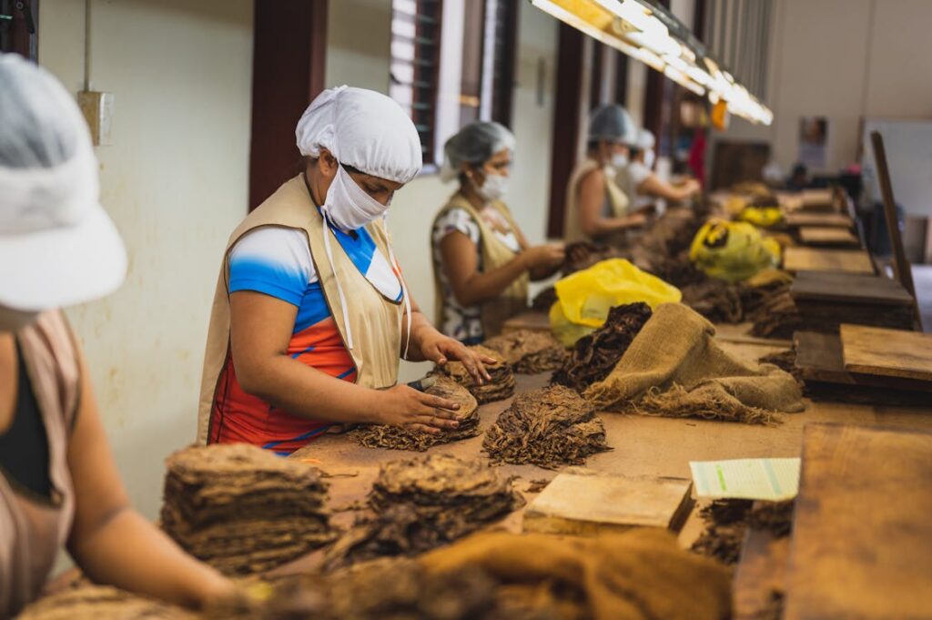Il vizio di fumare tabacco